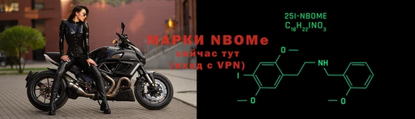 прущие грибы Новокубанск